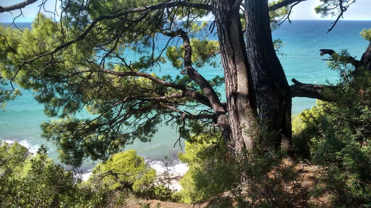 Nyaraló 2-Bed Maisonette In Pine Forest, 250M From Beach Between Skala Fourka And Siviri Villa Szkála Fúrkasz Görögország
