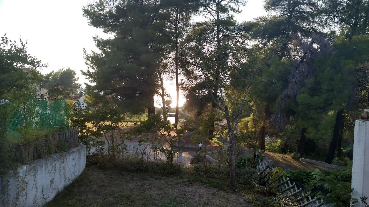 2-Bed Maisonette In Pine Forest, 250M From Beach Between Skala Fourka And Siviri Villa Szkála Fúrkasz Görögország